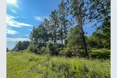 4 County Road 1325, Warren, TX 77664 - Photo 5