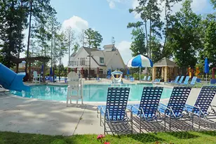 29914 Adobe Falls Dr, Spring, TX 77386 - Photo 31