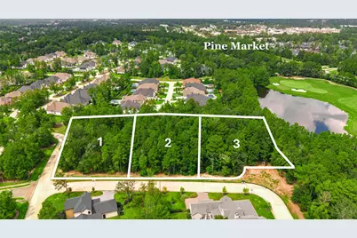 108 Castle Pines Drive, Montgomery, TX 77316 - Photo 3