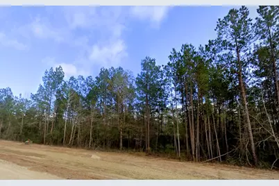 11794 Grand North Road, Willis, TX 77378 - Photo 7