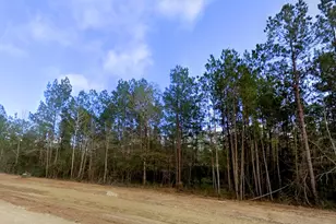 11794 Grand N Rd, Willis, TX 77378 - Photo 7