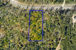 11794 Grand N Rd, Willis, TX 77378 - Photo 3