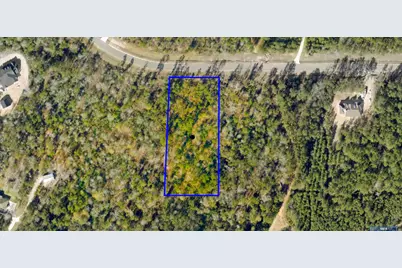 11794 Grand North Road, Willis, TX 77378 - Photo 3