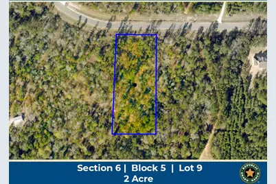 11794 Grand North Road, Willis, TX 77378 - Photo 1