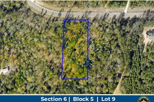 11794 Grand N Rd, Willis, TX 77378 - Photo 1