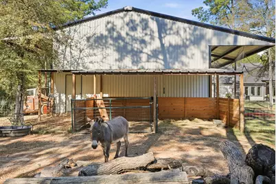 33710 Walnut Grove Drive, Magnolia, TX 77355 - Photo 41