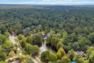 59 W Misty Morning Trce, The Woodlands, TX 77381 - Photo 29