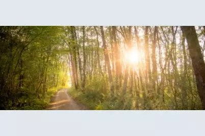 2039 Forest Stream Way, Conroe, TX 77304 - Photo 3