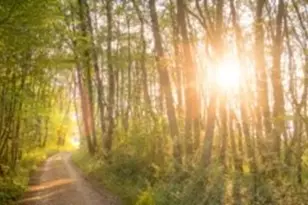 2039 Frst Strm Wy, Conroe, TX 77304 - Photo 3