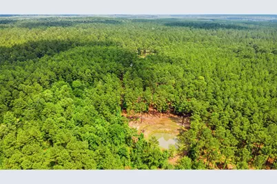 1780 Josserand Road, Groveton, TX 75845 - Photo 9