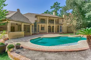 3 Lacewing Pl, The Woodlands, TX 77380 - Photo 27