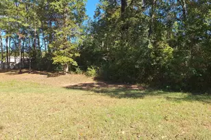 185 Amber Ln, Livingston, TX 77351 - Photo 1