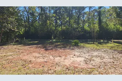 185 Amber Lane, Livingston, TX 77351 - Photo 3