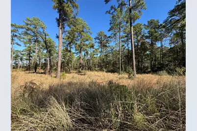 065 Private Road 6026, Brookeland, TX 75931 - Photo 11