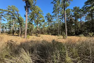 065 Private Road 6026, Brookeland, TX 75931 - Photo 11
