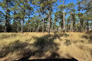 065 Private Road 6026, Brookeland, TX 75931 - Photo 7