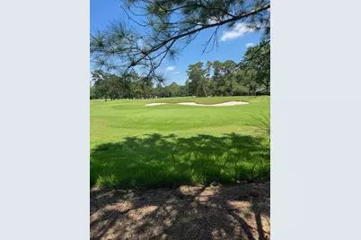6006 Bermuda Dunes Drive, Houston, TX 77069 - Photo 33