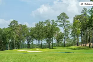 22222 Junction Peak Dr, Porter, TX 77365 - Photo 39