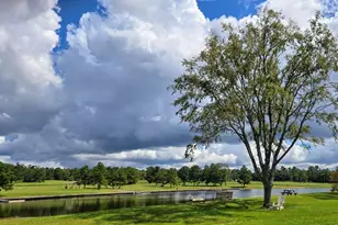 10795 Ruger Rd, Willis, TX 77378 - Photo 17