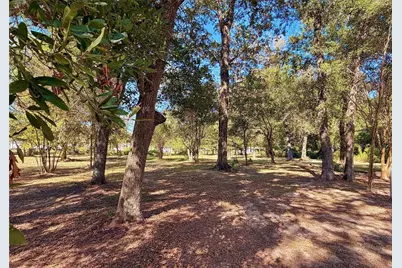 1265 County Road 6479, Dayton, TX 77535 - Photo 5