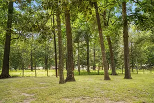 26407 Magnolia Dr, Splendora, TX 77372 - Photo 3