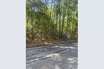 26705 Maple Lane, Huntsville, TX 77320 - Photo 7