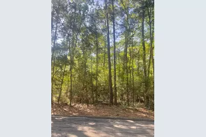 26705 Maple Lane, Huntsville, TX 77320 - Photo 5