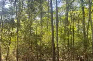 26705 Maple Ln, Huntsville, TX 77320 - Photo 5