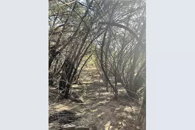 8101 Chantily Cove, Leander, TX 78645 - Photo 5