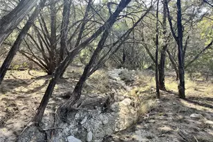 8101 Chantily Cove, Leander, TX 78645 - Photo 3