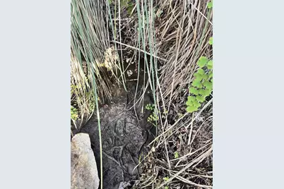 8101 Chantily Cove, Leander, TX 78645 - Photo 1