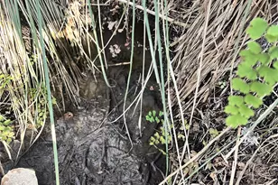 8101 Chantily Cove, Leander, TX 78645 - Photo 1