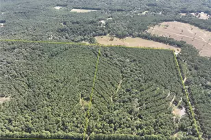 T-7 Fm 256, Woodville, TX 75979 - Photo 1