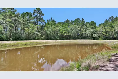 9445 Cr 415 E, Navasota, TX 77868 - Photo 43
