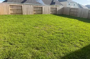22466 Birchfield Grove Ln Ln, New Caney, TX 77357 - Photo 3
