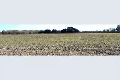 28 Acres Shaws Bend Road, Columbus, TX 78934 - Photo 3
