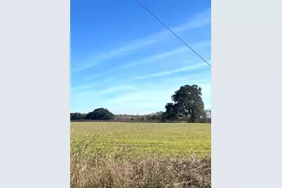 28 Acres Shaws Bend Road, Columbus, TX 78934 - Photo 5
