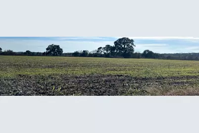 28 Acres Shaws Bend Road, Columbus, TX 78934 - Photo 1