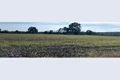 28 Acres Shaws Bend Road, Columbus, TX 78934 - Photo 1