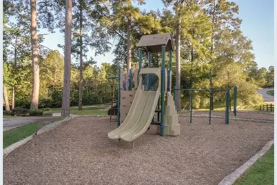 7389 Teaswood Drive, Conroe, TX 77304 - Photo 21