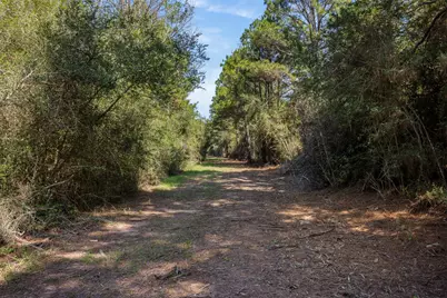 8189 Milton Road, Sealy, TX 77474 - Photo 17