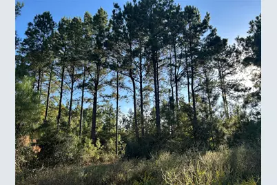Tract 11 Fm 230, Lovelady, TX 77854 - Photo 1