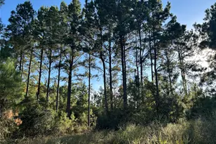 Tract 11 Fm 230, Lovelady, TX 77854 - Photo 1