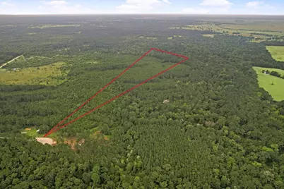 Tract 11 Fm 230, Lovelady, TX 77854 - Photo 9