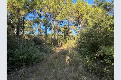 Tract 11 Fm 230, Lovelady, TX 77854 - Photo 5