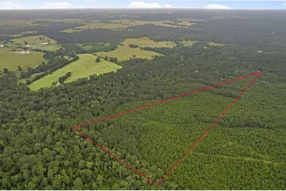 Tract 11 Fm 230, Lovelady, TX 77854 - Photo 13