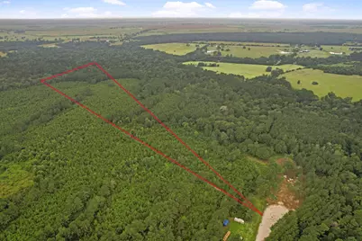 Tract 11 Fm 230, Lovelady, TX 77854 - Photo 11