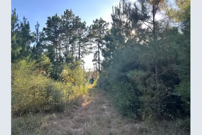 Tract 11 Fm 230, Lovelady, TX 77854 - Photo 3