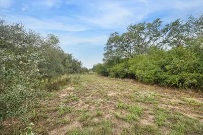 000 Shorebird Lane, Columbus, TX 78934 - Photo 5