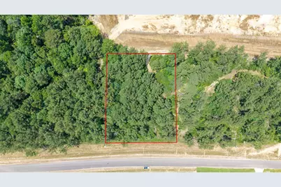 15981 Four Hills Road, Willis, TX 77378 - Photo 9